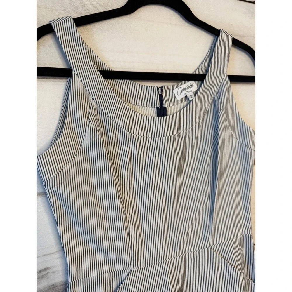 Amy Matto New York Womens Pinstripe Sleeveless Sheath Dress Blue White Size 2 - Picture 2 of 6